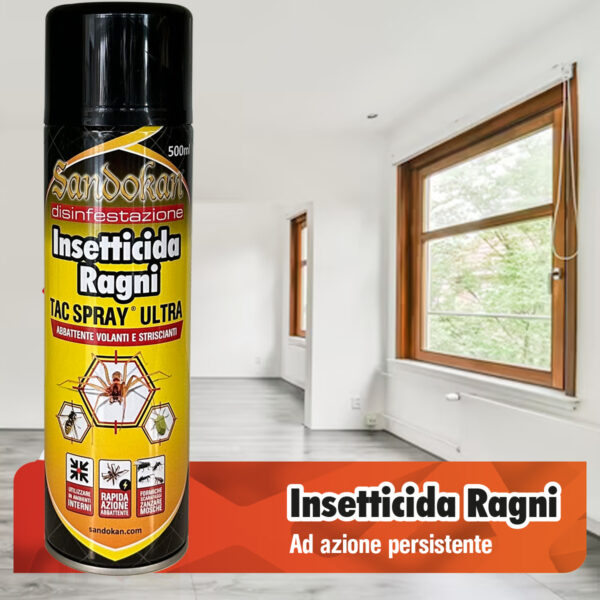 Insecticide pour les araignées – Image 2